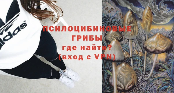 mdpv Елабуга