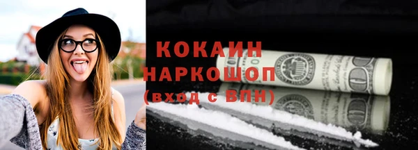 кокс Ельня