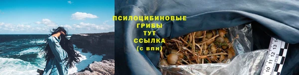 mdpv Елабуга