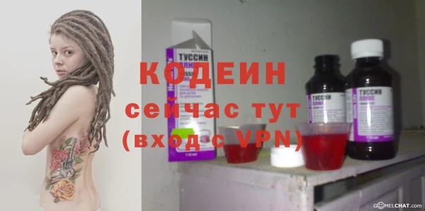 кокс Ельня