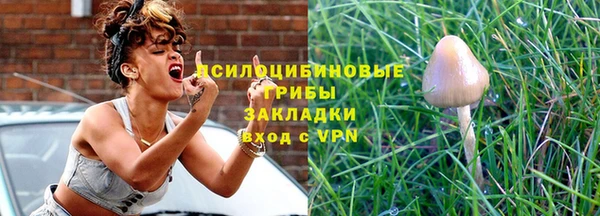 кокс Ельня