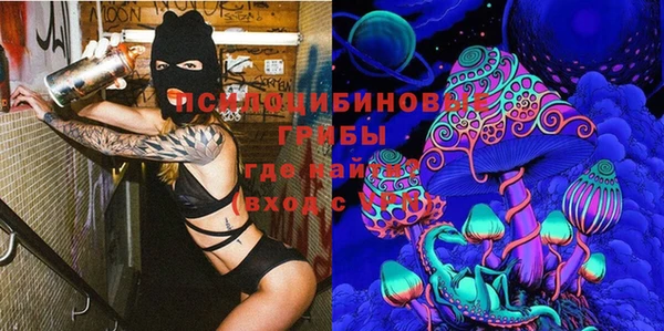 mdpv Елабуга