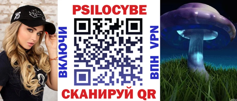 Купить где  Лангепас  Галлюциногенные грибы Psilocybine cubensis 